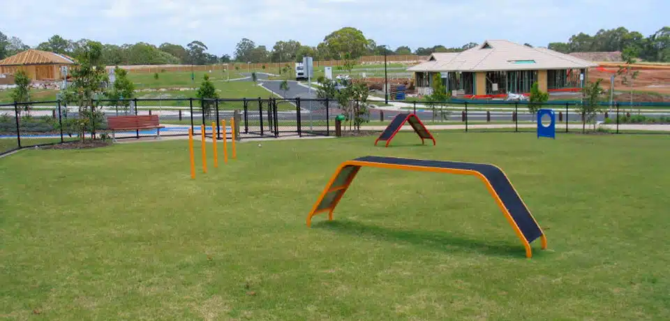 Dog Agility Equipment in dog park